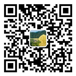 彩神lll官网首页